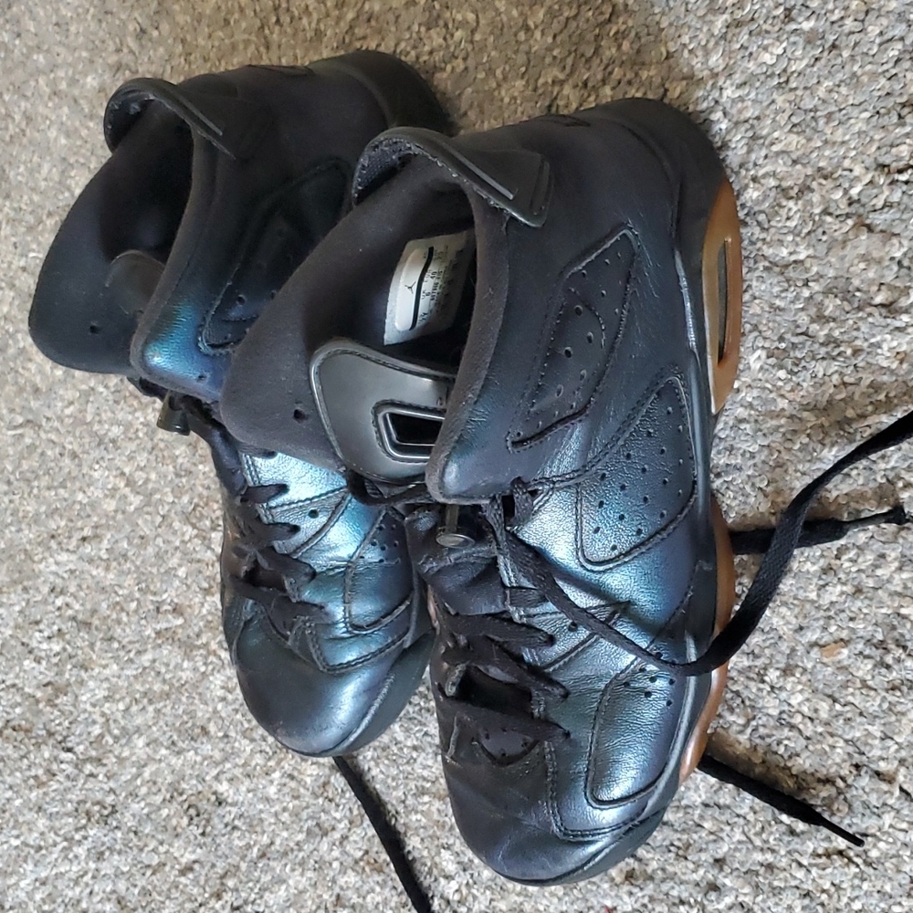 Air Jordan 6 Retro All Star Big Kids 7Y Chameleon